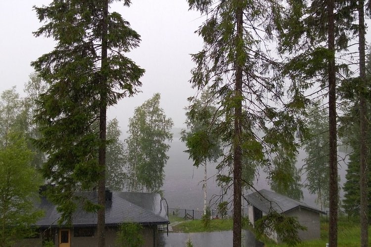 Luurinmutkan leirikeskuksen puustoa